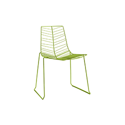 Leaf ّ CG-A1422