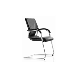 Modus Executive office chair CG-A1109-2